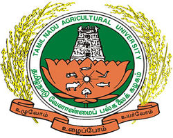 Agricultural College And Research Institute logo