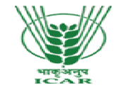 National Academy of Agricultural Research Management, Hyderabad logo