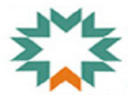 BLS Institute of Management logo