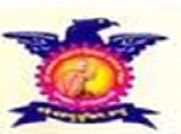 Sharadchadra Pawar Institute Of Management logo