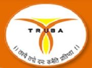 Truba Institute of Engineering and Information Technology logo