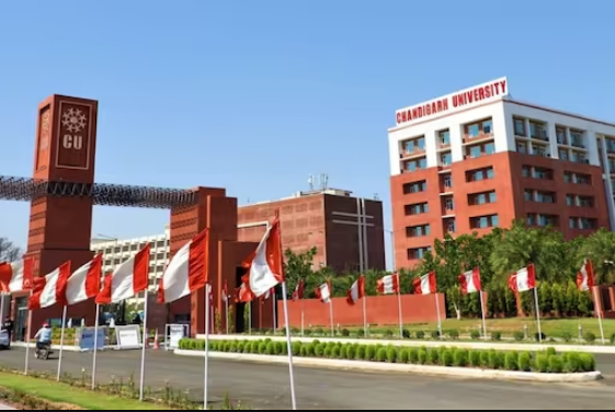 Chandigarh University Distance and Online MBA
