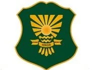 Noida International University-logo
